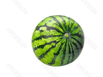 Ripe and juicy watermelon