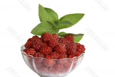 Berries of raspberry in a glass vase with the leaves of mint