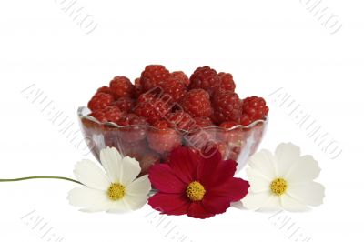 Berries raspberries in a glass vase on a table with flowers