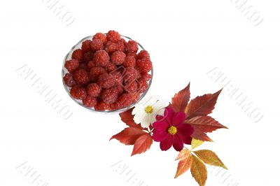 Berries raspberries in a glass vase with leaves and flowers