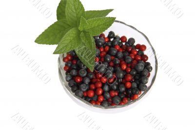 Berries of cowberry and whortleberry in a glass vase with the leaves of mint on a white background