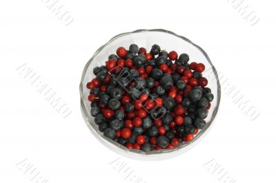 Berries cowberry and whortleberry in a glass vase on a white background