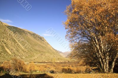 Autumn mountain landscape