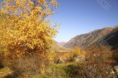 Autumn mountain landscape