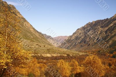 Autumn mountain landscape