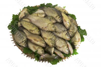 Crucians on a round wattled dish and greens on a white backgroun