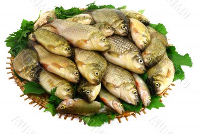 Crucians on a round wattled dish and greens on a white backgroun