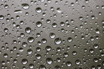 Rain water drops