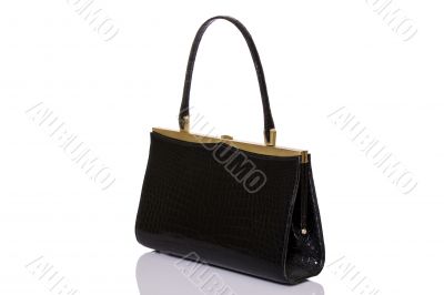 Lady black handbag