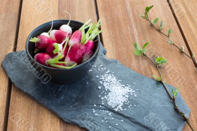 Radish in bowl Radish in bowl