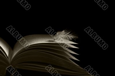 book angel skrezhal