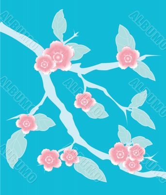 Blossom cherry - Greeting Card