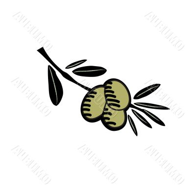 Hand drawn olive illustration Hand drawn olive illustration