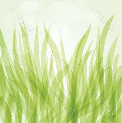 Abstract background with green flowers Abstract background with green flowers