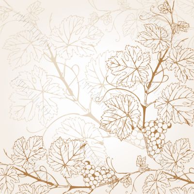 Vintage vector illustration with grape branch