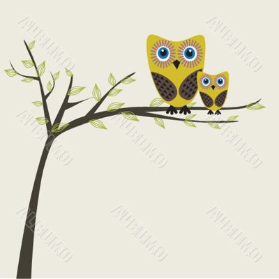 Two cute owls on the tree branch