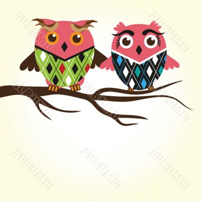 Two cute owls on the tree branch