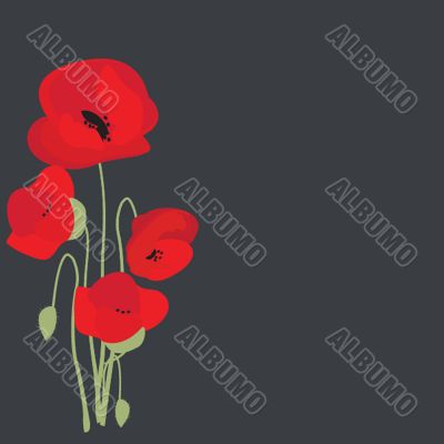 Spring card with beauty poppies. Spring card with beauty poppies.