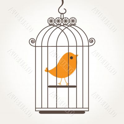 Cute bird in birdcage Cute bird in birdcage