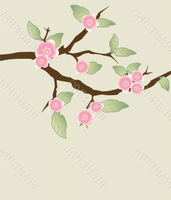 Blossom cherry - Greeting Card Blossom cherry - Greeting Card