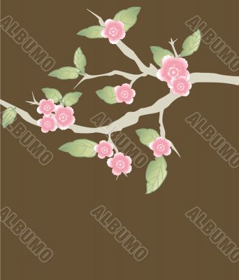 Blossom cherry - Greeting Card Blossom cherry - Greeting Card