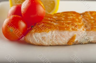 Salmon