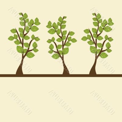 Three tree. Vector illustration. Three tree. Vector illustration.