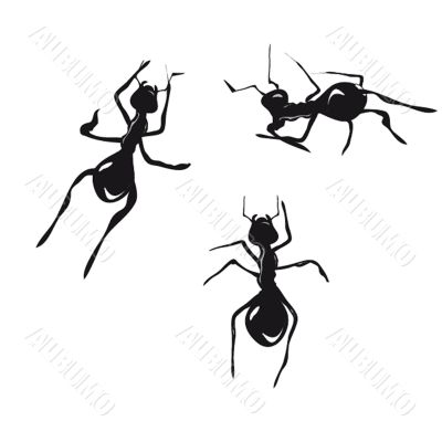 Ants. Vector. Ants. Vector.