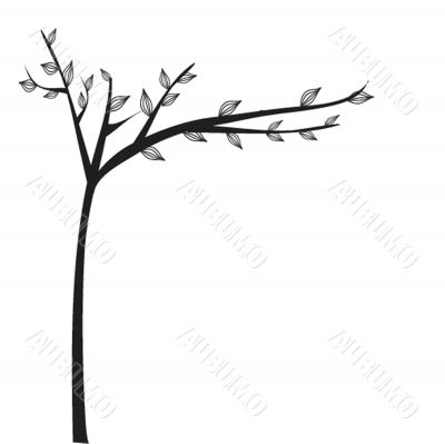 Abstract autumn tree Abstract autumn tree
