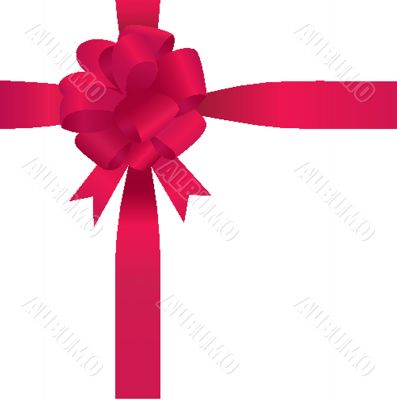 Shiny red satin ribbon on white background
