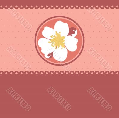 Blossom cherry - Greeting Card