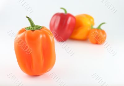 Red, Orange and Yellow Bell Peppers