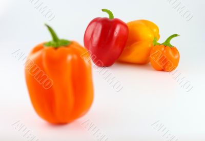 Red, Orange and Yellow Bell Peppers