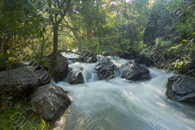 River Dulce stream in Guadalajara, Spain