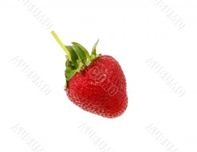 Fresh strawberry  isolated on white background
