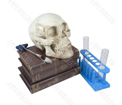 Medical Books with Skull and Test Tubes