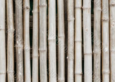 thai style bamboo fence