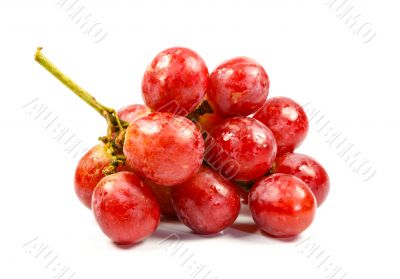 red grape isolated on white