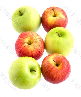 green and red apples isolated on white ground green and red apples isolated on white ground