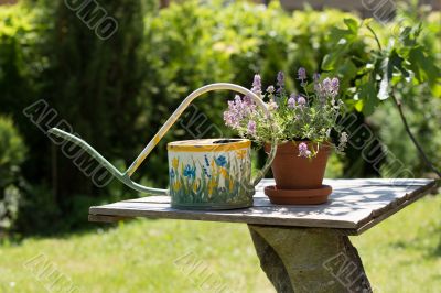Watering can and flower Watering can and flower