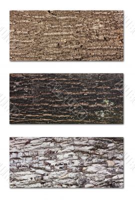 Tree bark banners set