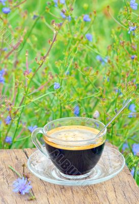 chicory hot drink