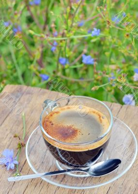 cup of chicory hot drink