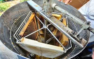 honey extraction machinery
