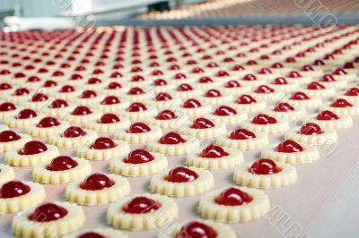Production of biscuits Production of biscuits