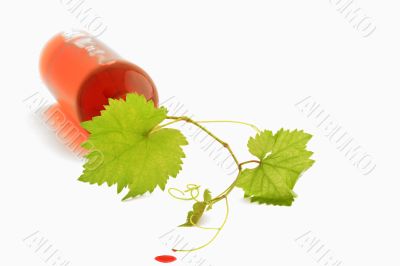 bottle of wine bottle of wine