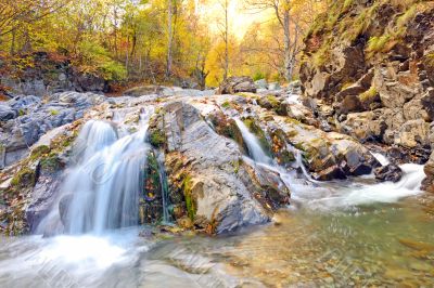 Autumn Falls Autumn Falls
