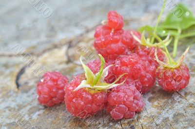 raspberry on wood background raspberry on wood background
