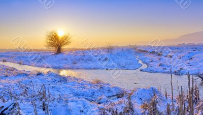 winter landscape