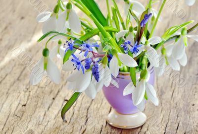 Beautiful bouquet snowdrops in a vase on woody background